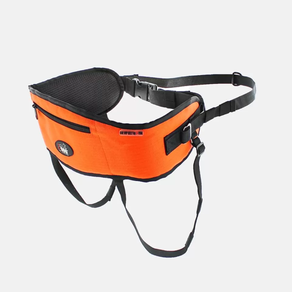 Canitrail | Canitrail | Raidlight BAUDRIER CANICROSS ONE I-DOG Orange