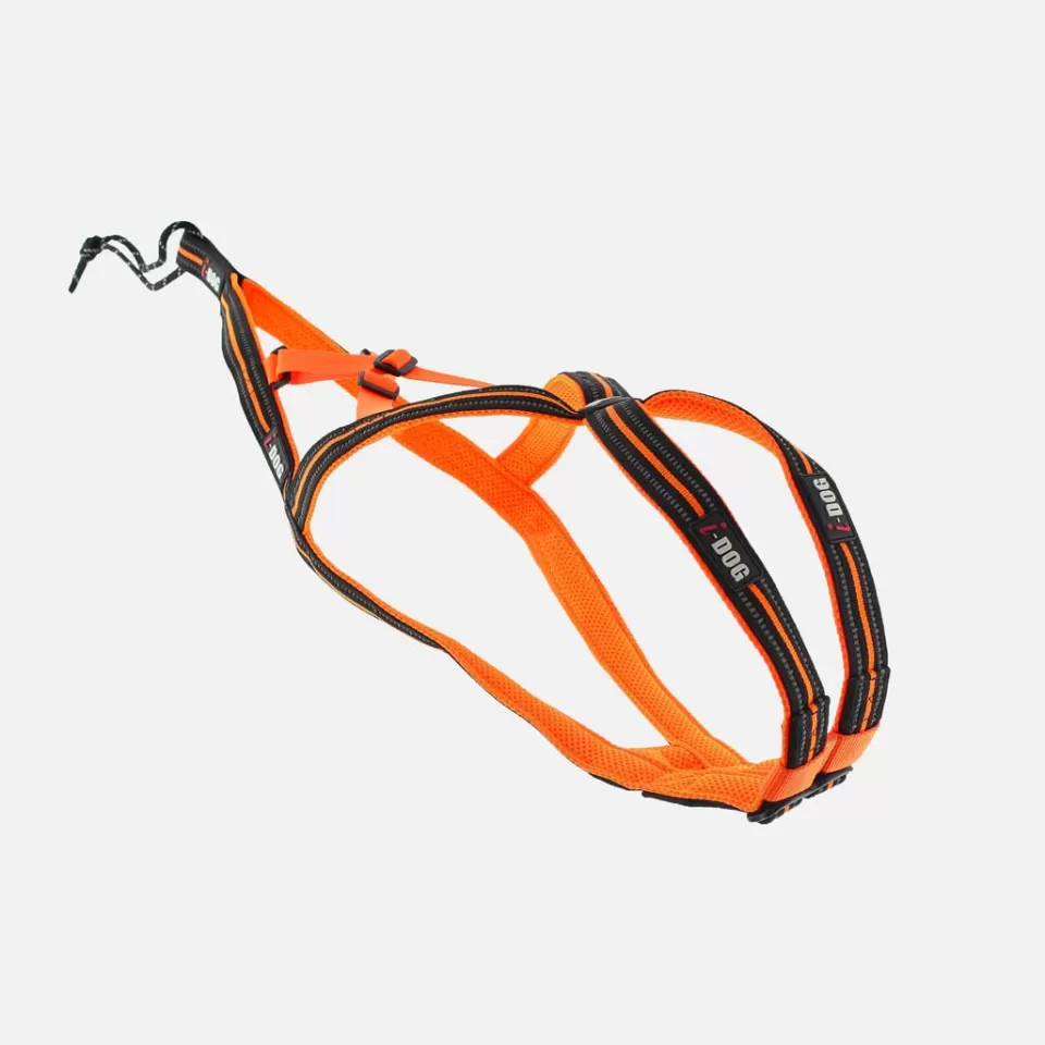 Canitrail | Canitrail | Raidlight HARNAIS CANICROSS ONE I-DOG Orange