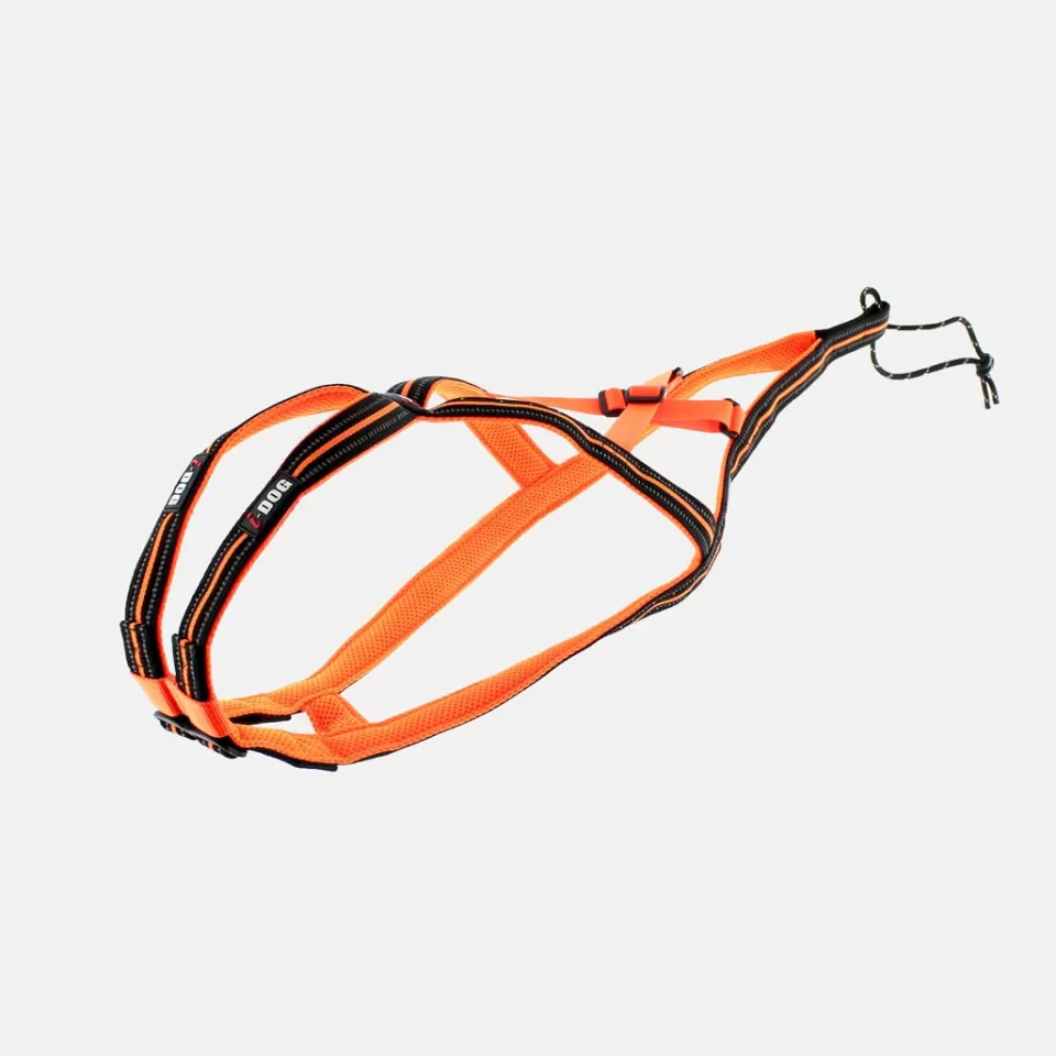 Canitrail | Canitrail | Raidlight HARNAIS CANICROSS ONE I-DOG Orange